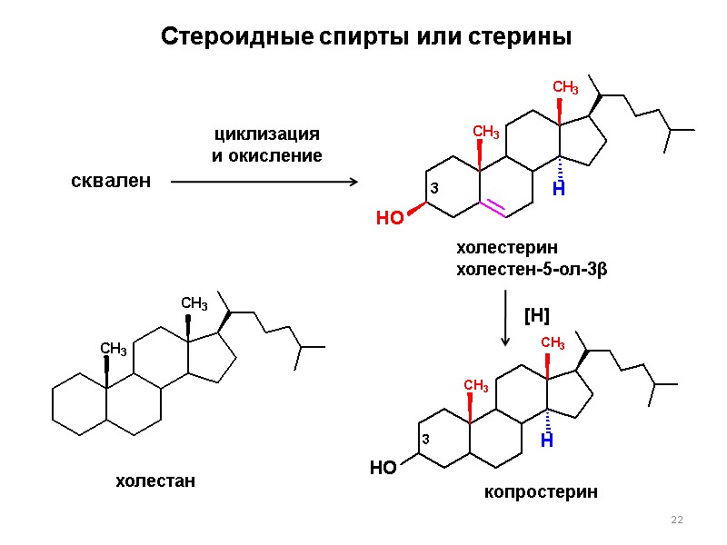 22 Стероидные спирты или стерины холестан сквален циклизация и окисление холестерин холестен-5-ол-3β [H] копростерин